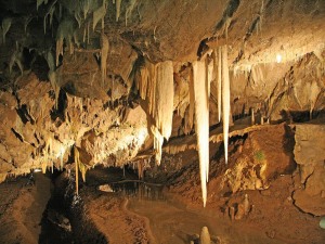 Okolí Jedovnice, Punkevní jeskyně, Chráněná krajinná oblast Moravský kras